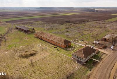 Spațiu comercial, de 3,000 mp, în Mișca - 18