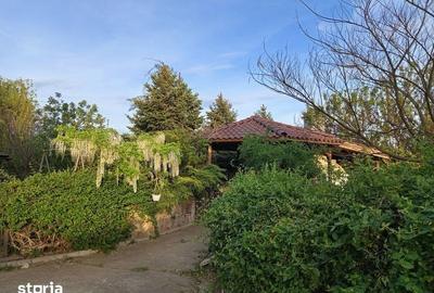 Casă cu 4 camere cu Teren 262 Mp în Biharia - 4
