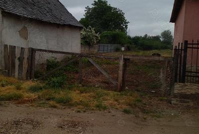 Casă cu 2 camere cu Teren 1600 Mp în Tăut