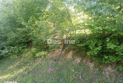 Teren de 3200 mp, în Moisei