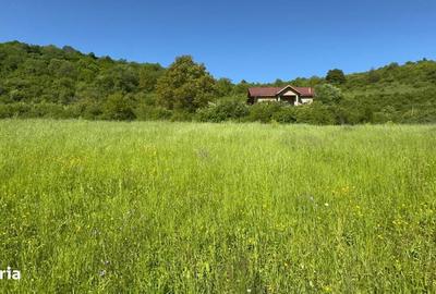 Teren de 2300 mp, în Florești - 4
