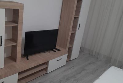 Garsonieră decomandată în Valea Rosie - 3