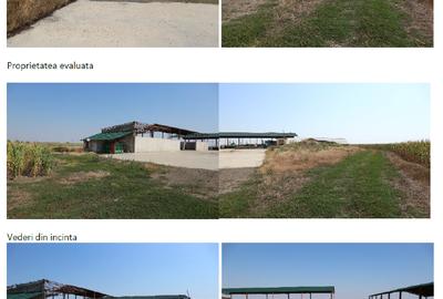 Proprietate specială, de 406 mp, în Becicherecu Mic