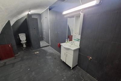 Spațiu comercial, de 600 mp, în Aradul Nou