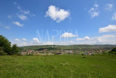 Teren Construcții intravilan de 23200 mp, în Chinteni - 6