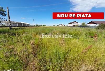 Spațiu comercial, în Bradu