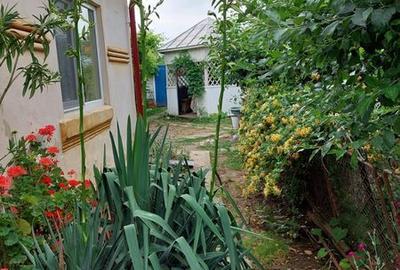 Casă cu 4 camere cu Teren 160 Mp în Osica de Jos - 2