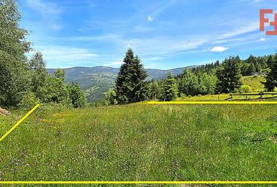 Teren intravilan de 803 mp, în Albac - 1