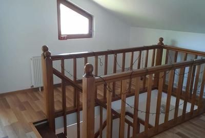 Casă cu 5 camere cu Teren 4000 Mp în Timișești - 10