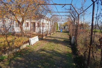 Casă cu Teren 32 Mp în Central