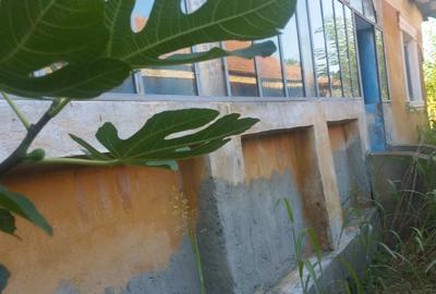 Casă cu 3 camere cu Teren 2600 Mp în Rogova