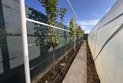 CASA INDIVIDUALA, COMPLET MOBILATA SI UTILATA, 740 MP TEREN. CASA INDIVIDUALA, COMPLET MOBILATA SI UTILATA, 740 MP TEREN. - 20