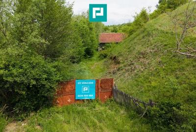 Casă cu Teren 24494 Mp în Lupești - 3