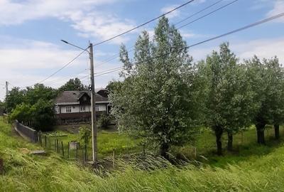 Teren de 13100 mp, în Vornicenii Mici