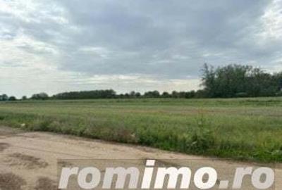 Teren de 12500 mp, în Gherăseni - 5