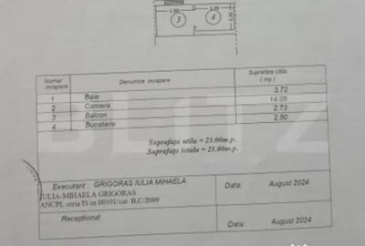 Garsonieră în Ciurea - 4