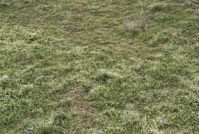 Teren de 110000 mp, în Petrești - 1