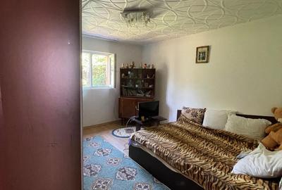 De Vanzare Casa cu curte imensa,constructie 2013,Fantana Doamnei,langa balta - 8