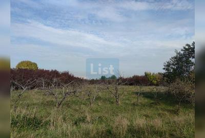 Teren agricol extravilan de 2000 mp, în Făget - 2