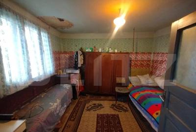 Casa batraneasca,55mp utili, teren aferent 2700mp+1ha teren - 6