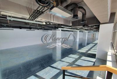 Spatiu birouri clasa A, zona Grigorescu - 13