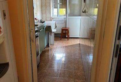 Apartament cu 2 camere semidecomandat în Sârbi - 7