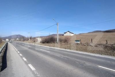 Teren de 5000 mp, în Central - 1