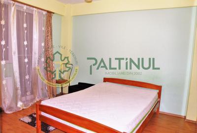 Garsonieră decomandată, mobilată în Turnișor - 2