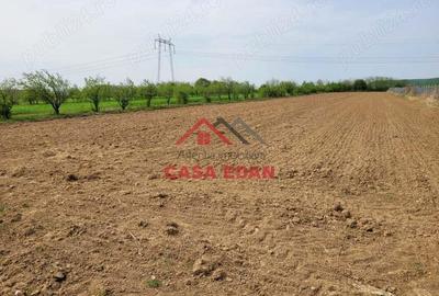 Teren extravilan in Banesti, 2400mp, 10e - 3