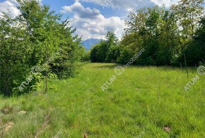 Teren intravilan 2100 mp de pe Valea Avrigului in Sibiu - 2