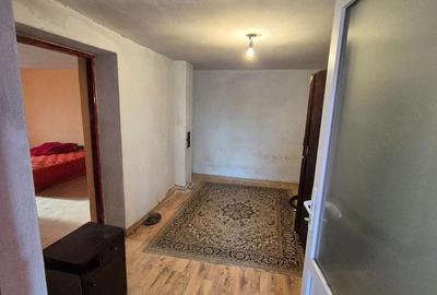 Casă cu 2 camere cu Teren 750 Mp în Biharia - 1
