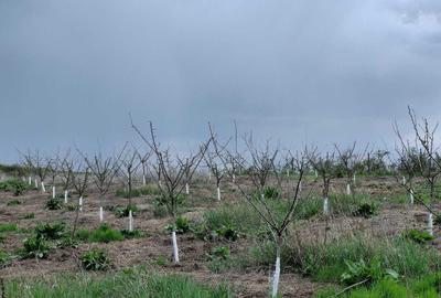 Casă cu 3 camere în Mogoșești - 4