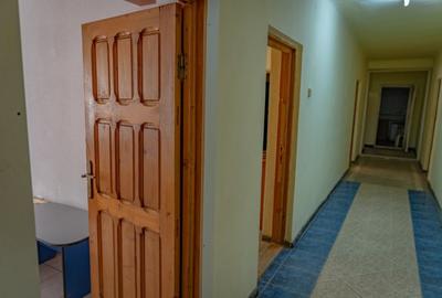 Spațiu comercial, de 400 mp, în Zemeș - 9