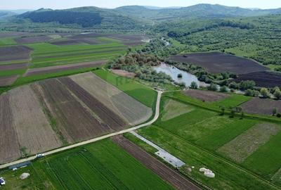 Teren intravilan 1.400 mp, imprejmuit integral - Livada, comuna Iclod - 17
