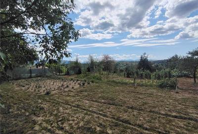 RECO teren intravilan in Saliste de Beius - 1