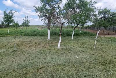 Teren de 1680 mp, în Aluniș - 4