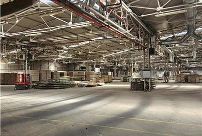 Spatiu Industrial - 5000 mp - Productie - Depozitare - 10
