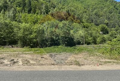 Teren intravilan 1500 mp Valea Ierii - 12