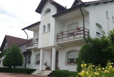 Vanzare vila/casa de vacanta - 2