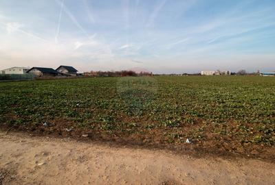 Teren Intravilan de vanzare 21000 mp Balotesti Soseaua Unirii - 12