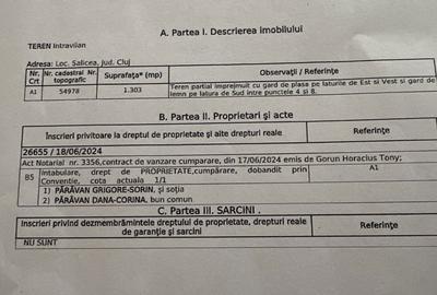 Spațiu comercial, în Sălicea - 3