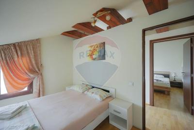 Hotel/Pensiune, de 438 mp, în Nufărul - 40