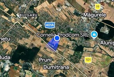 Teren Construcții intravilan de 5000 mp, în Sud - 1