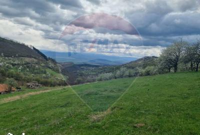 Teren de 23600 mp, în Vințu de Jos - 7