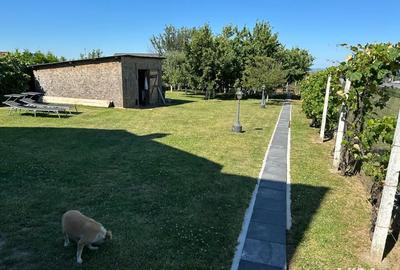 Casa Magura Farbe teren1550mp - 2