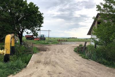 Vanzare teren intravilan  7.100mp complexul Magnolia, direct de la proprietar! - 5