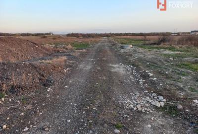 Teren Construcții extravilan de 7826 mp, în Ghiroda - 3