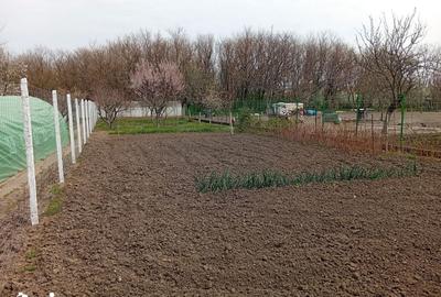 Casă cu 6 camere cu Teren 843 Mp în Livada - 18