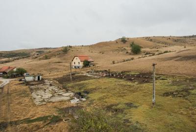 Teren de 540000 mp, în Măhăceni - 6