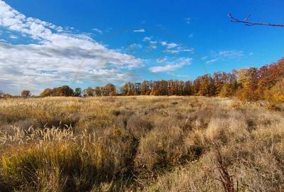 Teren Construcții intravilan de 10200 mp, în Moșoaia - 3